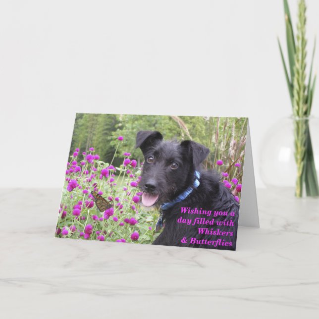 El monarca desea la tarjeta (Anverso)