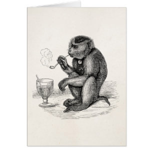 El mono del vintage que fuma un tubo Monkeys el
