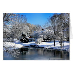 El mundo blanco habla sin sonido.