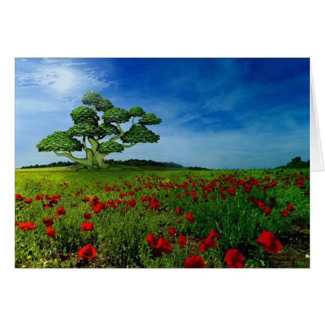 El mundo maravilloso (Anverso (Horizontal))