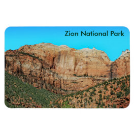 El muro de la avenida y el imán de las colmenas