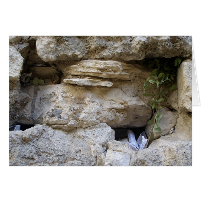 El muro occidental (Anverso (Horizontal))