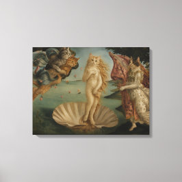 El nacimiento de Venus gatos parodia arte renacent