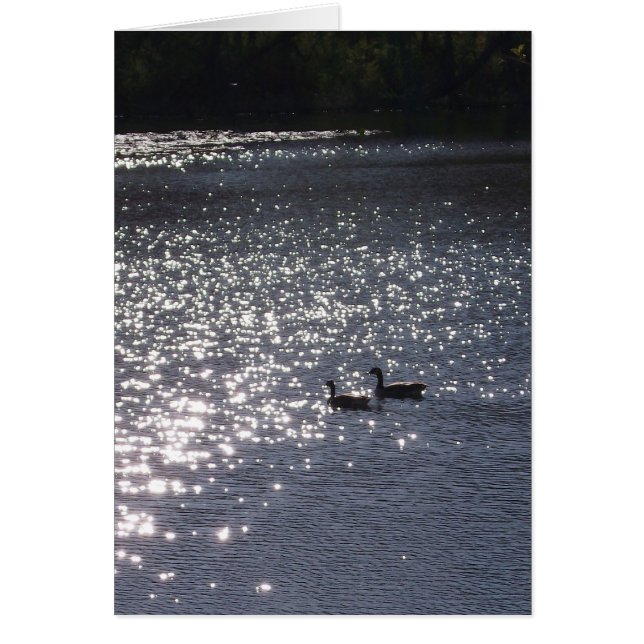 El nadar en la luz (Frente)