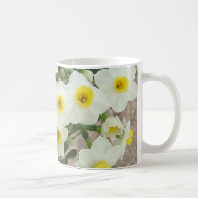 El narciso blanco florece la taza (Derecha)
