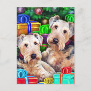 El navidad de Airedale ahora se abre