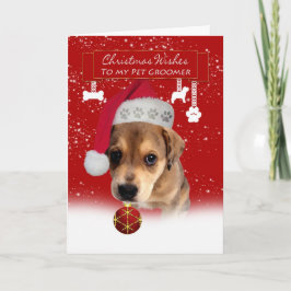 el navidad del groomer del mascota desea la