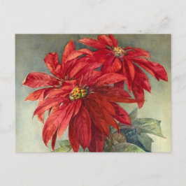 El navidad del Poinsettia del vintage