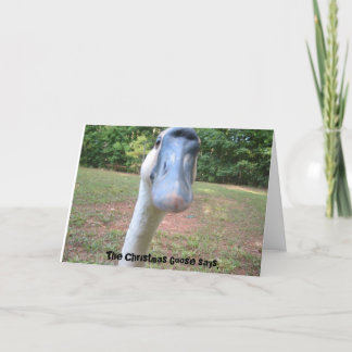 El Navidad Goose dice: