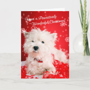 El navidad maravilloso de Westie desea 2 -