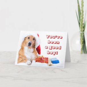 El navidad persigue con la asta y los regalos