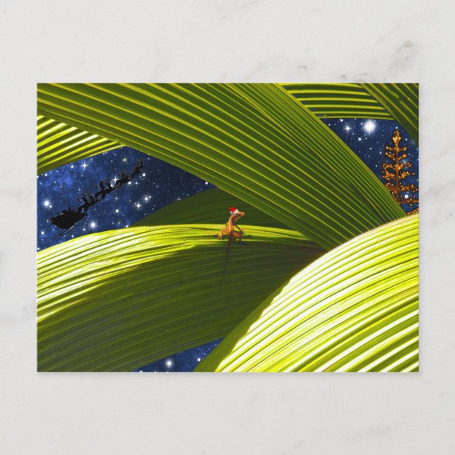 El navidad tropical de un lagarto del Gecko (Anverso)