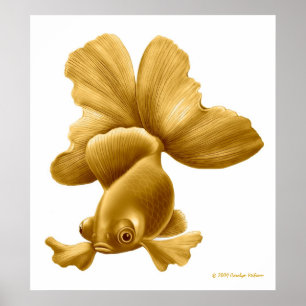 El negro amarra la impresión del Goldfish