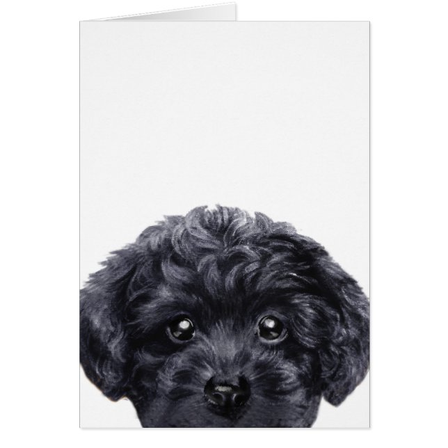 El negro del caniche de juguete, original deign (Frente)