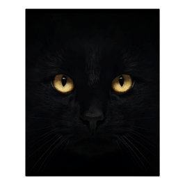 El negro Poster brillante del gato