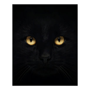 El negro Poster brillante del gato