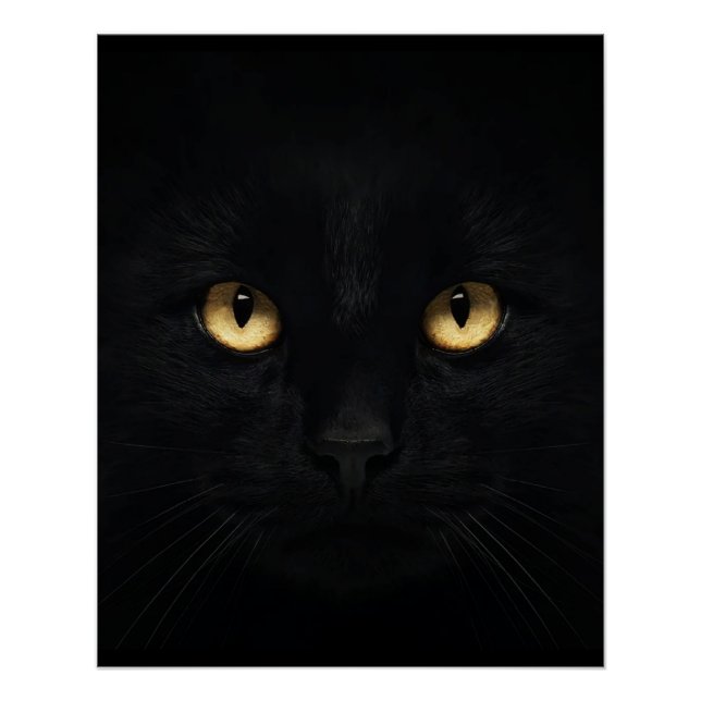 El negro Poster brillante del gato (Anverso)