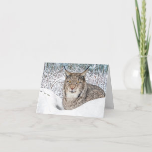 "el niño del invierno"