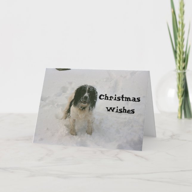 El Nowzad persigue la tarjeta de Navidad (1) (Anverso)