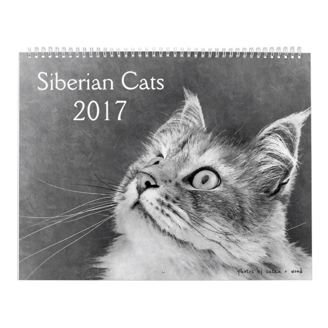 El nuevo calendario siberiano 2017 del gato (Tapa)