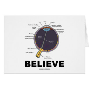 El ojo cree (el humor anatómico)