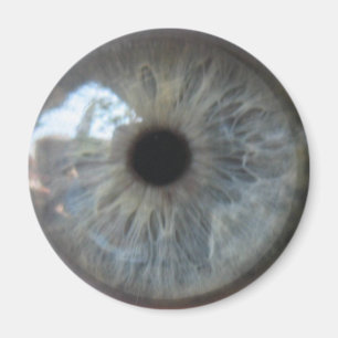 El ojo le ve imán del refrigerador