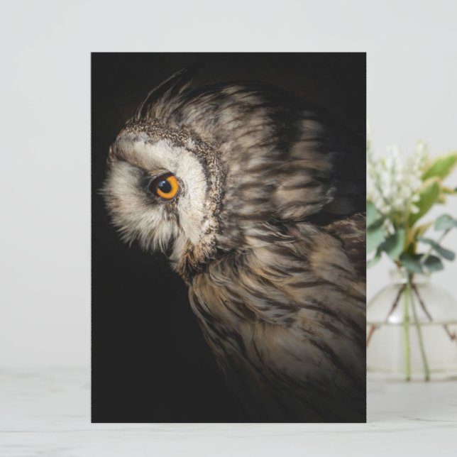 El ojo místico del búho | Regalo de Owl Aovers (Anverso de pie)