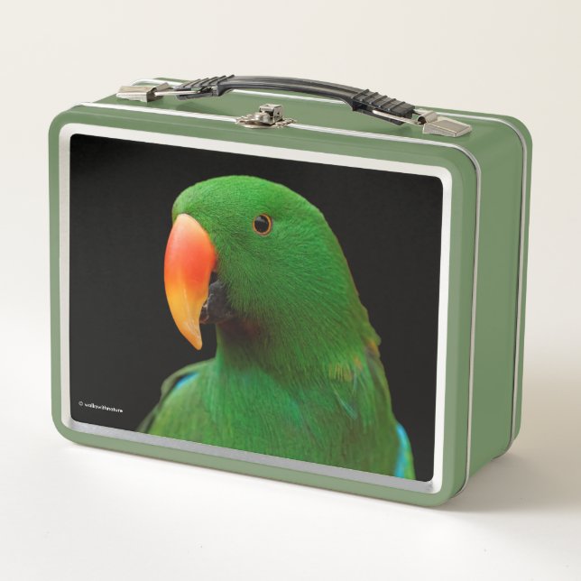 "El Orador Verde" Eclectus Parrot (Anverso)