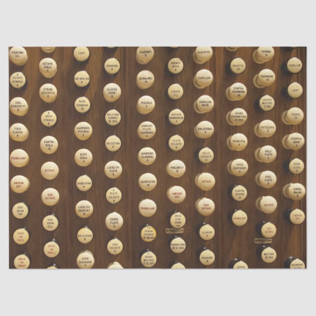 El órgano blanco detiene el papel del tejido (Anverso)