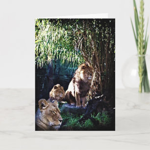 El Orgullo, la tarjeta de saludo