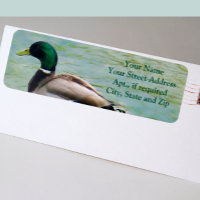 El orgulloso pato Mallard como etiquetas de direcc