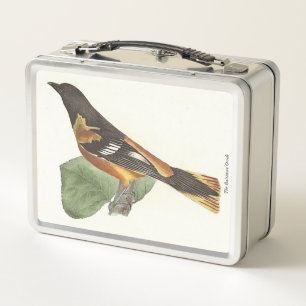 El Oriole de Oro o Baltimore (Icterus galbula)