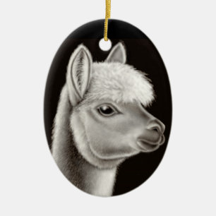 El ornamento amistoso de la alpaca