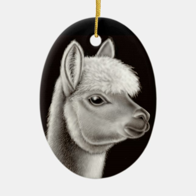 El ornamento amistoso de la alpaca (Frente)