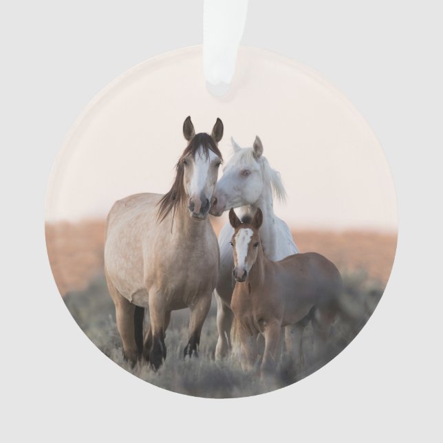 El ornamento del caballo salvaje familiar (Anverso)