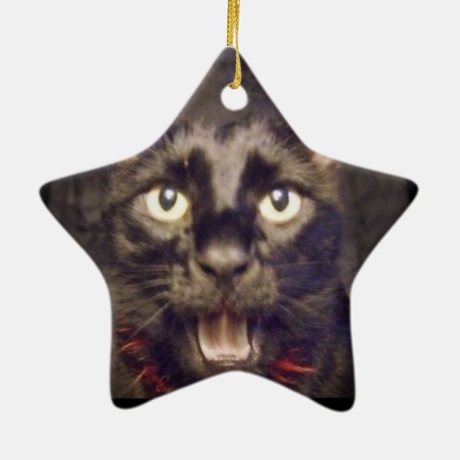 El ornamento más hermoso de la estrella (Atrás)