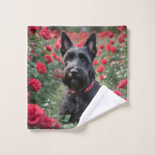 El Oscuro Escocés Terrier En Las Rosas Rojas,