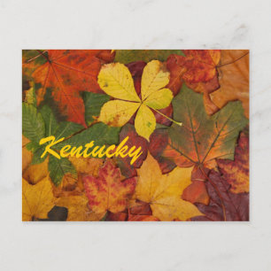 El otoño de Kentucky deja la postal