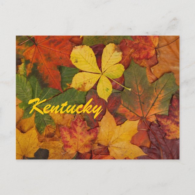 El otoño de Kentucky deja la postal (Anverso)