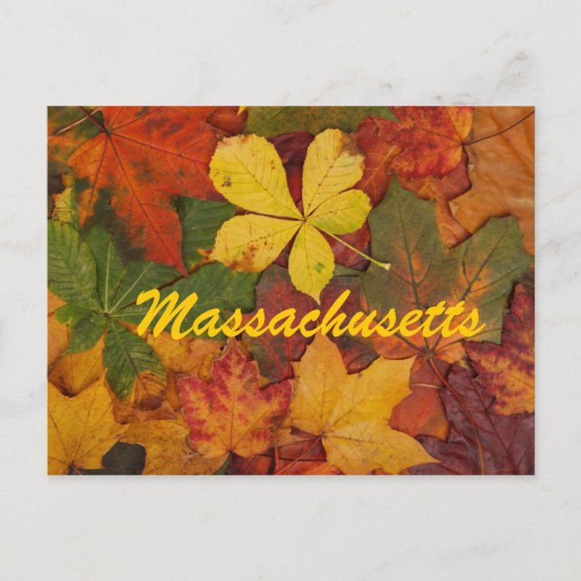 El otoño de Massachusetts deja la postal (Anverso)