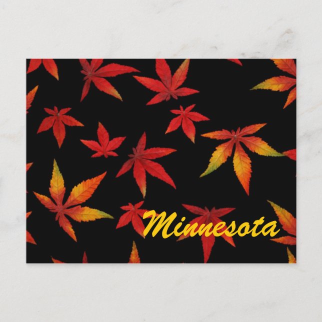 El otoño de Minnesota deja la postal (Anverso)
