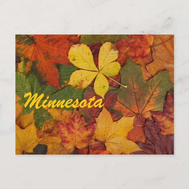 El otoño de Minnesota deja la postal (Anverso)