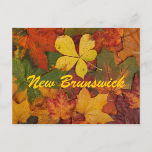 El otoño de Nueva Brunswick deja la postal