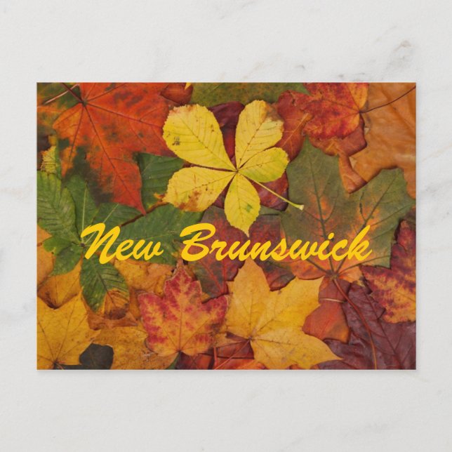 El otoño de Nueva Brunswick deja la postal (Anverso)