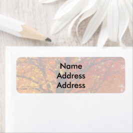 El otoño deja etiquetas de dirección de retorno de