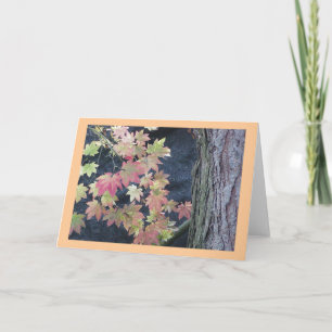 El otoño deja tarjetas de felicitación