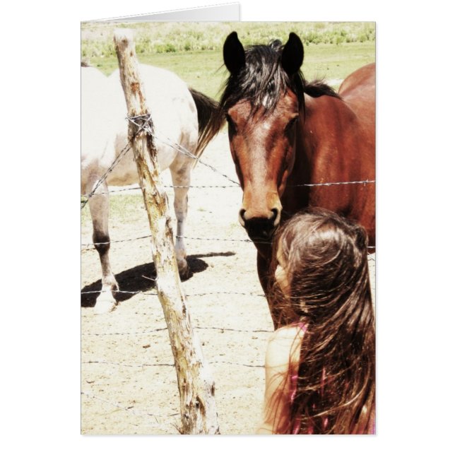 El oyente de caballos (Frente)