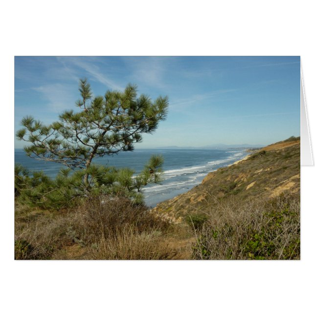 El paisaje costero de Torrey Pine y California (Anverso (Horizontal))
