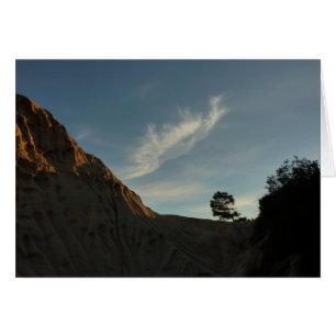 El paisaje de Lone Torrey Pine California Sunset