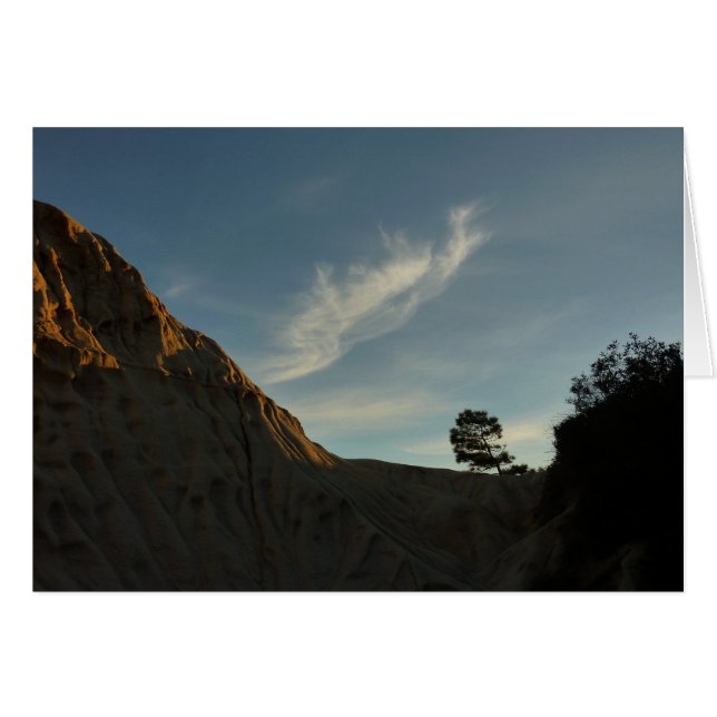 El paisaje de Lone Torrey Pine California Sunset (Anverso (Horizontal))